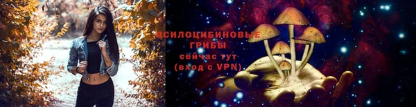 МДПВ Иноземцево