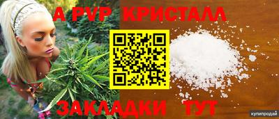 эйфоретик Заволжье