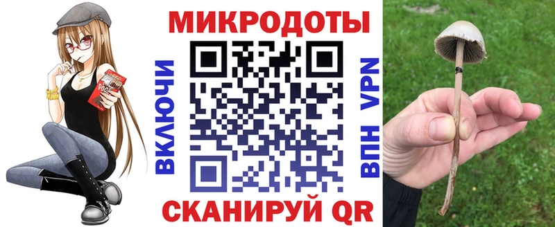 Галлюциногенные грибы Magic Shrooms  ссылка на мегу ONION  Новочеркасск 