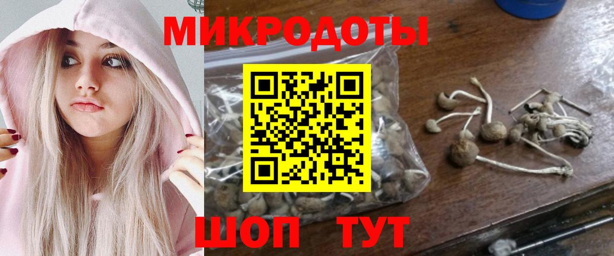 Галлюциногенные грибы прущие грибы Новочеркасск
