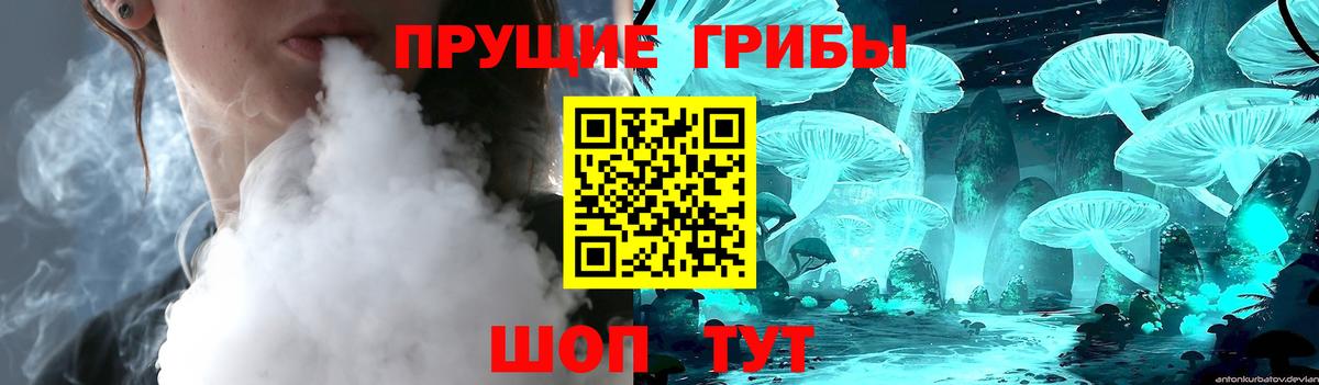 Псилоцибиновые грибы MAGIC MUSHROOMS  Вход с VPN  Новочеркасск 